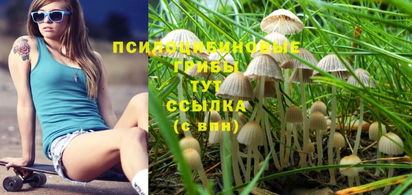 а пвп мука Алексин