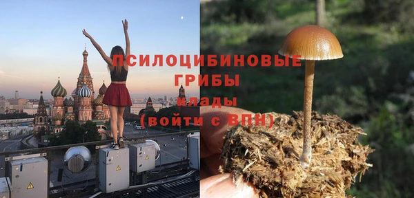 крисы Арсеньев
